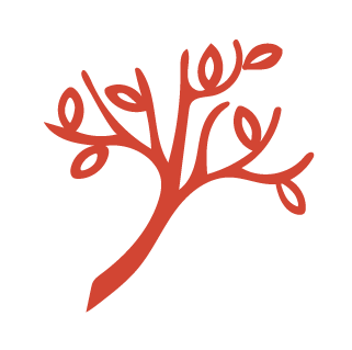 Il marchio: albero terracotta senza fondo